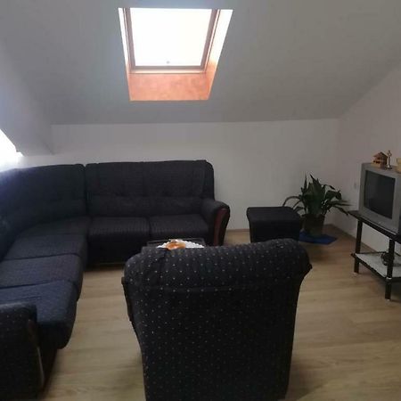 Apartman Ivana Ica Сокобаня Экстерьер фото