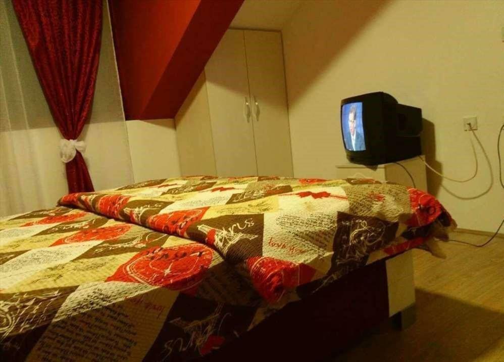 Apartman Ivana Ica Сокобаня Экстерьер фото