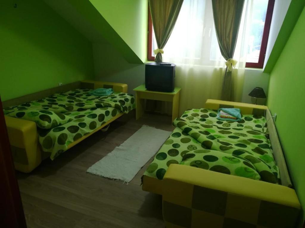 Apartman Ivana Ica Сокобаня Экстерьер фото