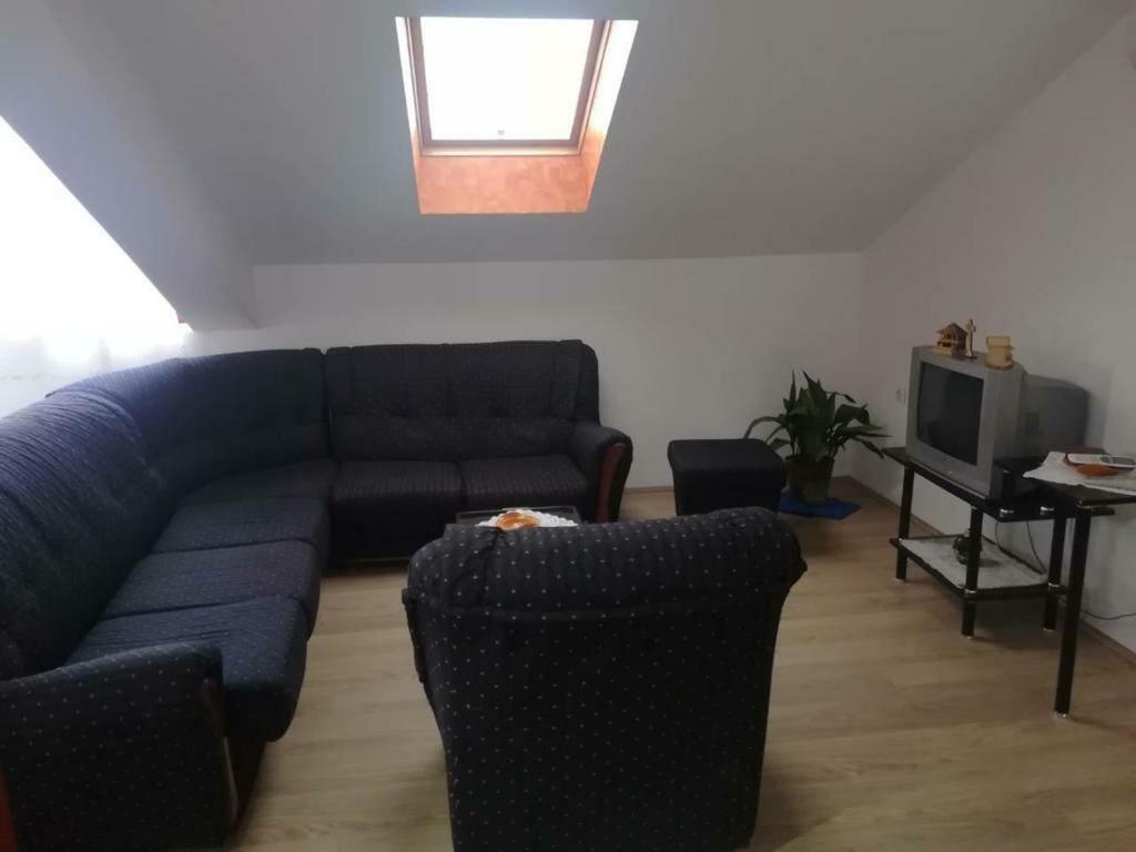 Apartman Ivana Ica Сокобаня Экстерьер фото