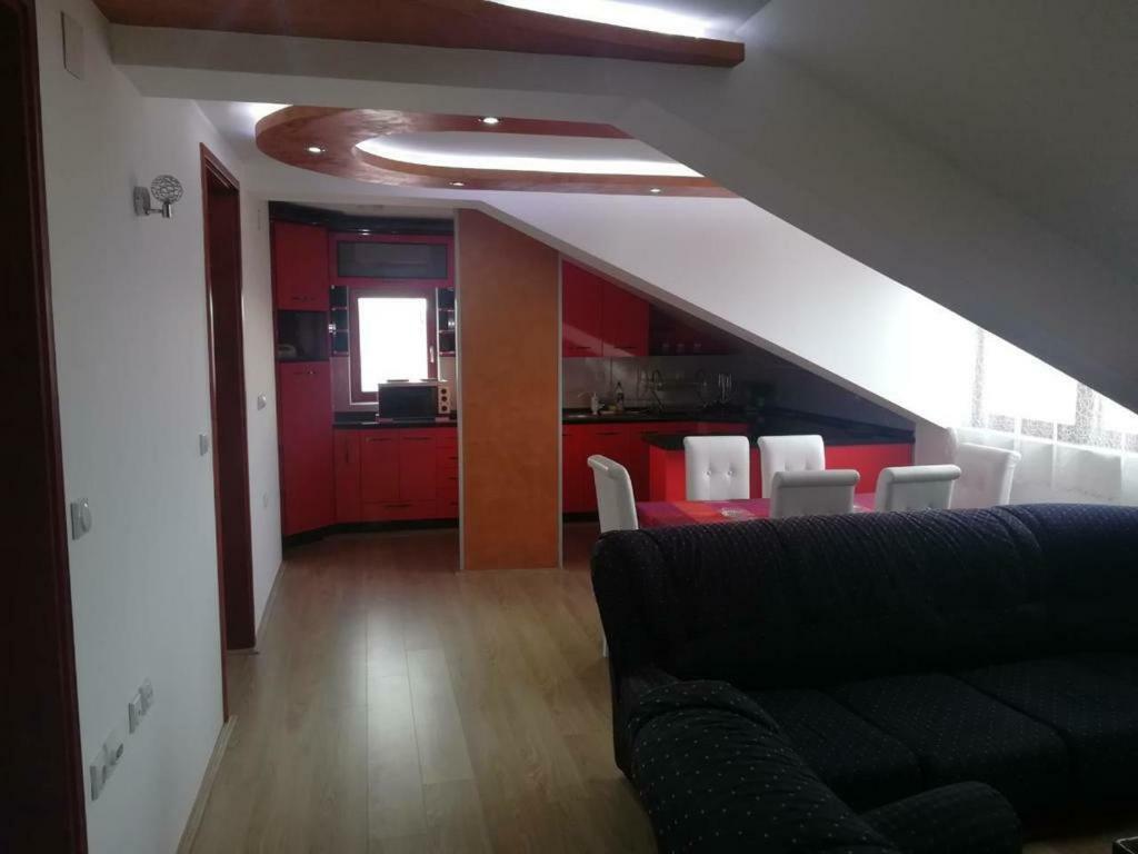Apartman Ivana Ica Сокобаня Экстерьер фото