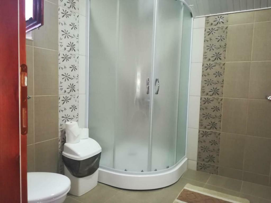 Apartman Ivana Ica Сокобаня Экстерьер фото